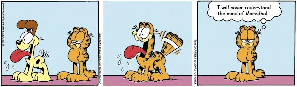 garfield01.png : Well I guess nobody could figure out how Moredhel works..