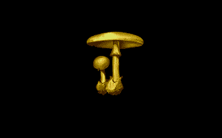 Mushroom