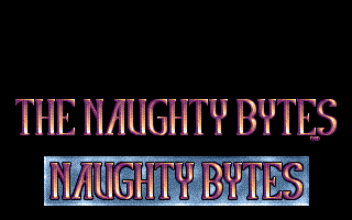 The Naughty Bytes 1